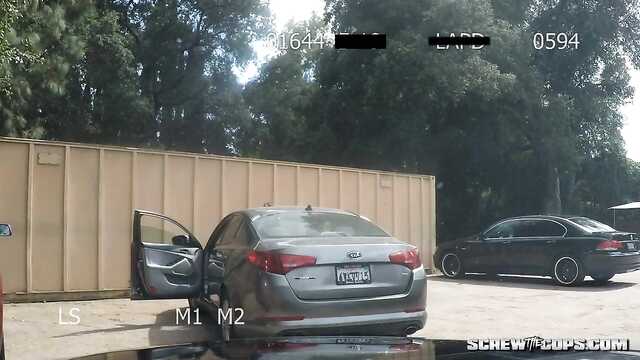 La police dans la voiture martèle une femme inconnue