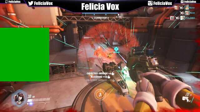 Gracz wali konia ptaszka po streamingu