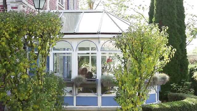 Dziewczyny pieprzą się z obcymi mężami