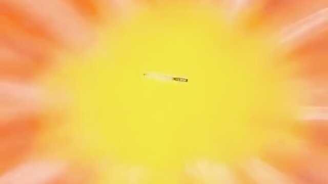 F-Force-força feminina (2ª temporada)