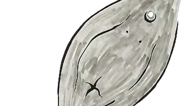 Łobuz-w poszukiwaniu siedmiu świętych dildów / Hooligan-Quest for the Seven Holy Dildos (odcinek 2)