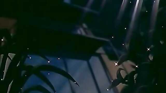 Cenoura suculenta / Pia Carrot e Youkoso!! (2 séries)