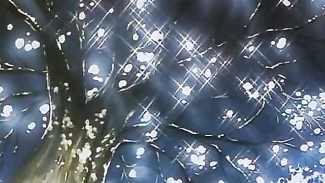 Шырынды сәбіз 2 / Pia Carrot e Youkoso!! 2 (2 серия)