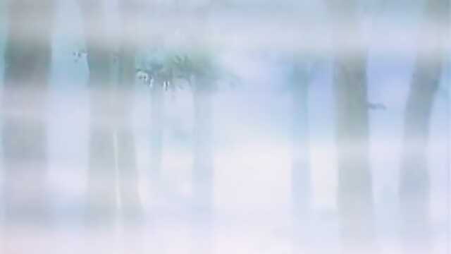 Особняк Каваразаки: 2 серия