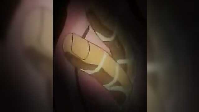 Neuer Engel / Shin Angel (Serie 2)