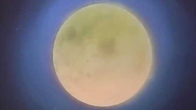 Демонозверь: Возрождение/Youjuu Kyoushitsu Gaiden 4 серия