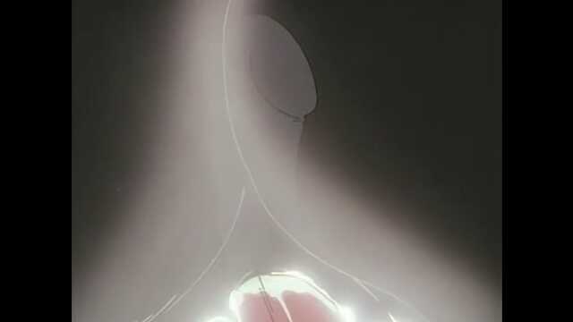 Parada Parada /parade-parade (2 Odcinki)