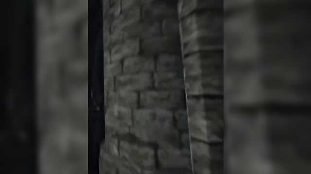 Элли вампирі / SFM-neko-vampire-elli