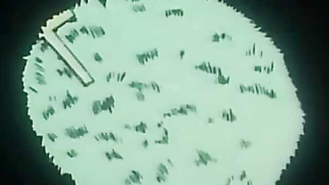 Can-can-bunny-extra (série 2)