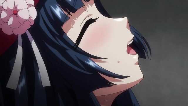 Отчаянные идолы: Honoo no Haramase Paidol My Star Gakuen Z The Animation