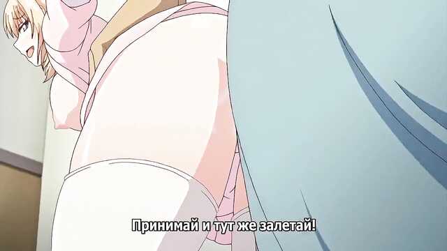 Weiß-Blau / White Blue (4er Serie)