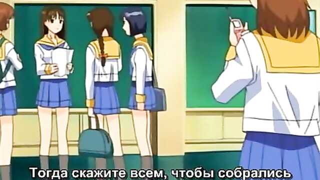 Ai Shimai: Futari no Kajitsu (tradução)