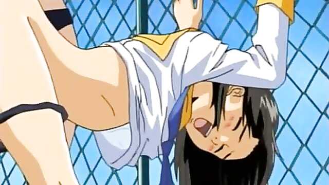 Ai Shimai: Futari no Kajitsu (tradução)