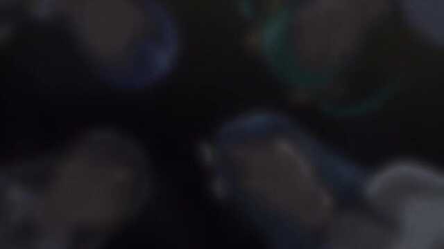 Disciplina: a Academia Hentai (4 episódios)