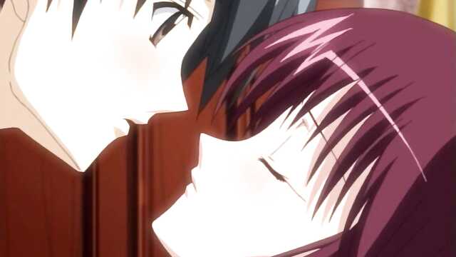 Studying with older sisters / Kateikyoushi no Onee-san The Animation: H no Hensachi Agechaimasu (2 series)