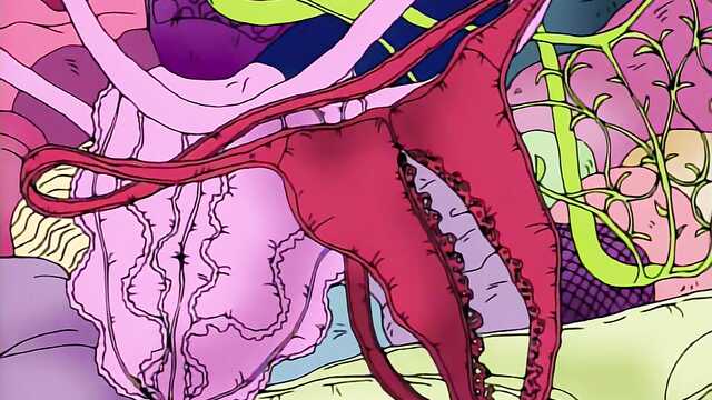 Трое исполнили сексуальную фантазию.