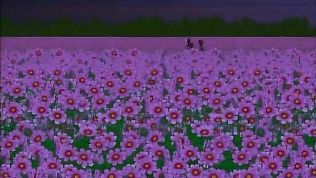 Na łonie natury pieprzy azjatycką dziewczynę w pozycji kowbojki