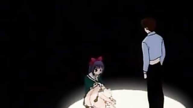 Как правильно ухаживать за мокрой кошкой.