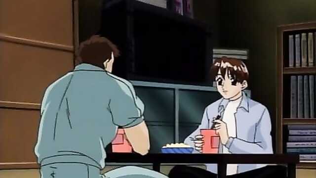 Как правильно ухаживать за мокрой кошкой.