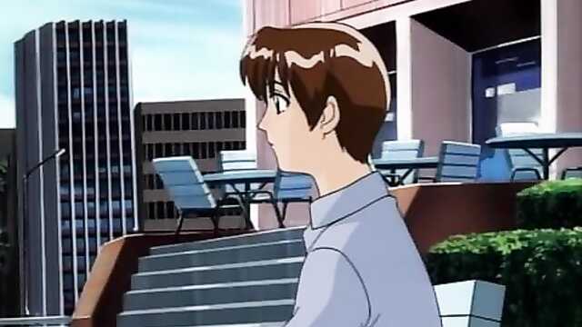 Как правильно ухаживать за мокрой кошкой.