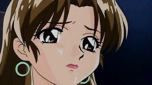 Как правильно ухаживать за мокрой кошкой.