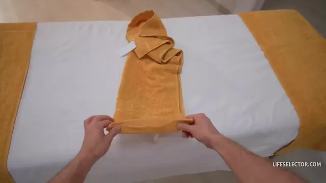 Лесби фильмдерінен кадрлар