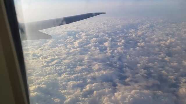 Высокий уровень любви: пососать хуй мужа в самолете.