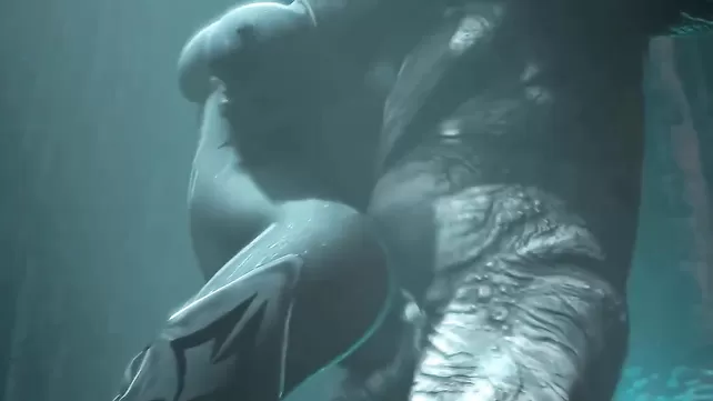 Спутниктік арналар порно елінің сипаттамасы