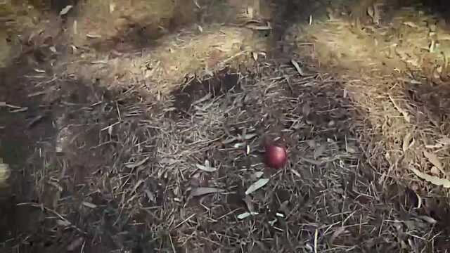 Пальцы в дружеском приветствии для пышножопой дурнушки