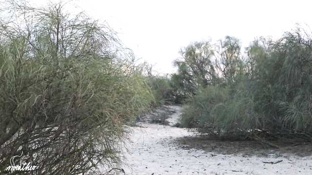 Na plaży nad rzeką szczera Laska wstała nowotworem