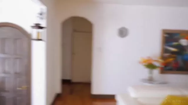 Бір түндік жыныстық қатынас