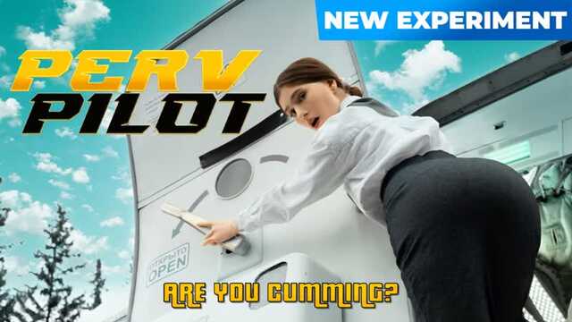 Чтобы полет прошел удачно, пилот ебет стюардессу