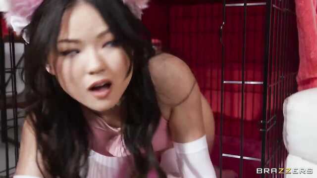 Лихие кошечки для одного хуя