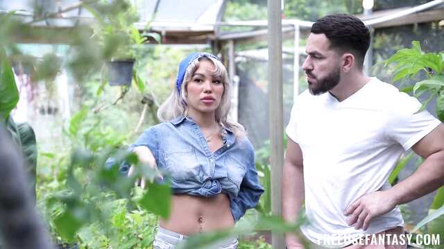 Чем закончились работы в теплице?