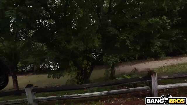 Фитоняшка в трахательном автобусе