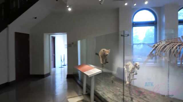 Развратные пары: секс крупным планом