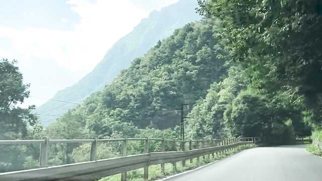 На природе так просто развести на еблю