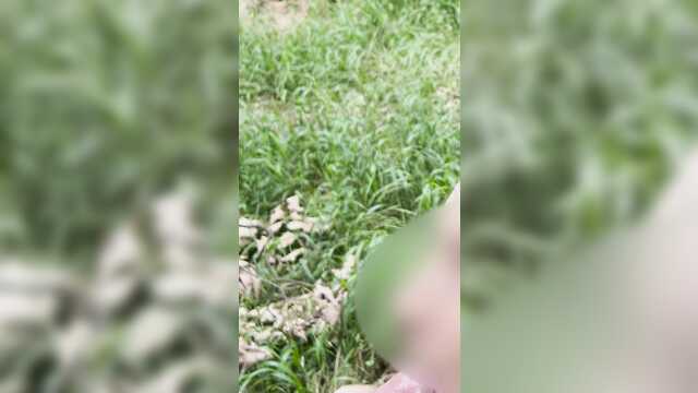 Тощая подружка дает на природе и пожирает кончу