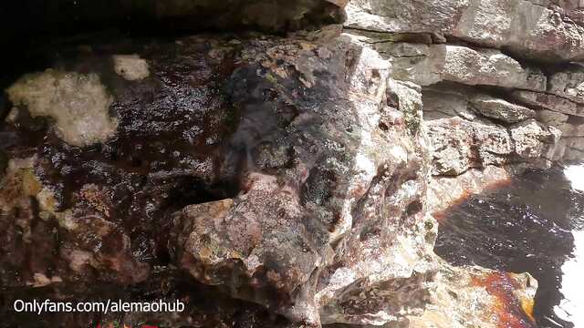 Возбужденные туристы снимают свой секс на природе