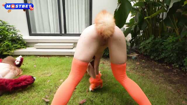 Идеальный секс с девушкой квадробером