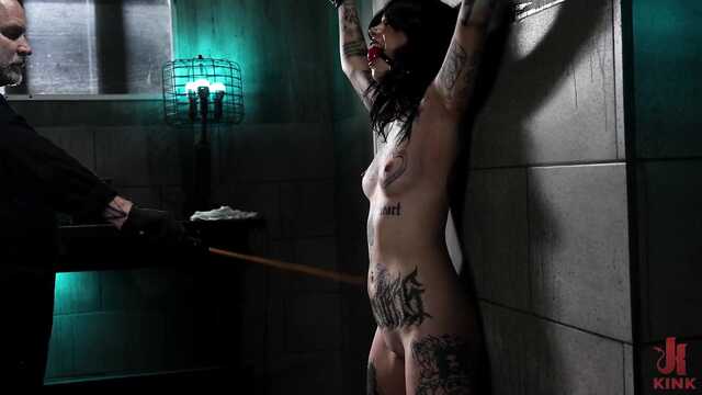 Хорошенькая рабыня сексуально унижена господином