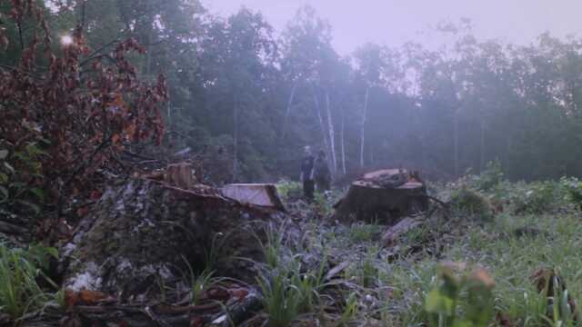 Шикарный секс молодых любовников в сказочном лесу