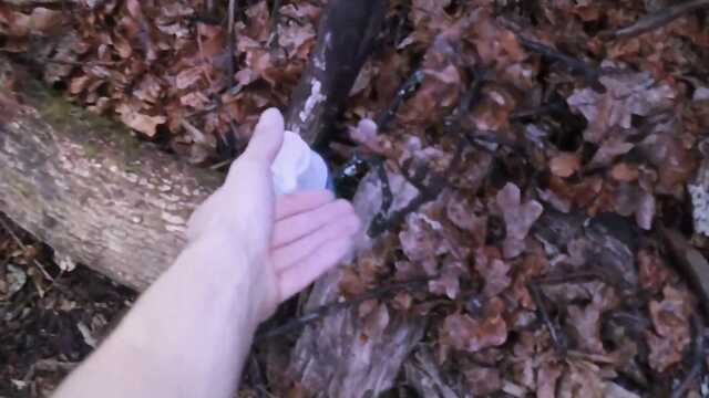 Шикарный секс молодых любовников в сказочном лесу