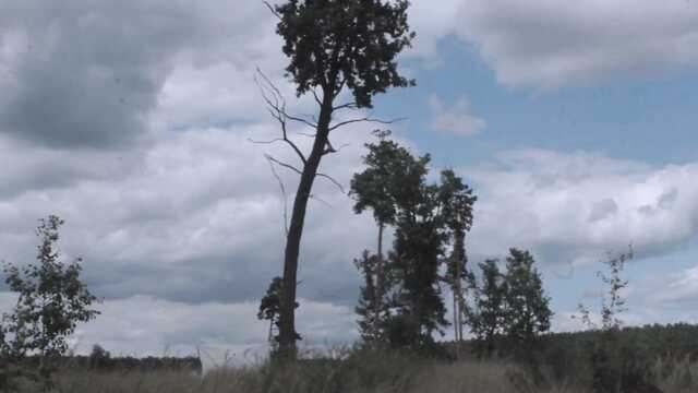 Клевый секс возбужденных туристов в уютной палатке