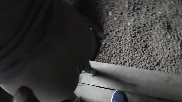 Carlson ze strychu perdolit rosyjską dziewczynę