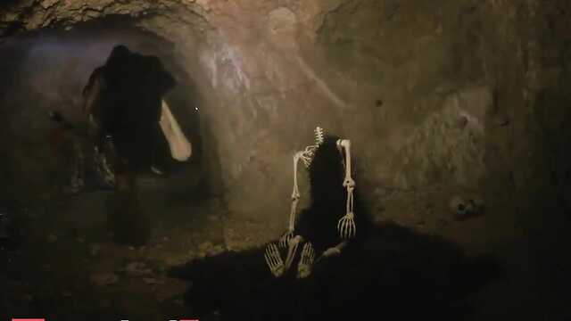 Қарабайыр азиялық жақсы әтешті де жақсы көреді