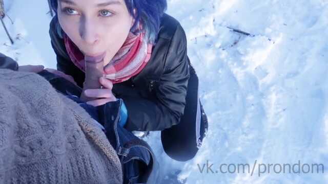 Защити Ротик в Зимнем Лесу!