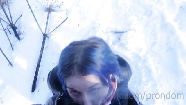 Защити Ротик в Зимнем Лесу!