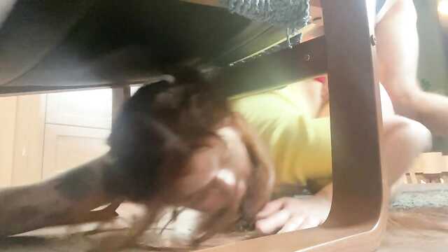 Mięsisty dziewczęcy Gimbal apelacyjnie kusi i wymaga odbytu