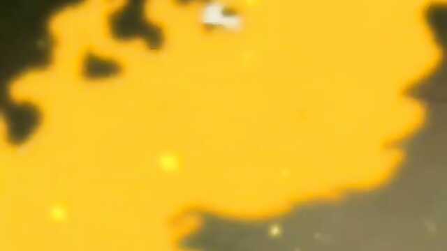 A flor e a serpente (hana to Hebi The Animation)